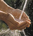 Agua